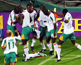 塞内加尔足球队在非洲杯、世界杯等比赛中屡获佳绩